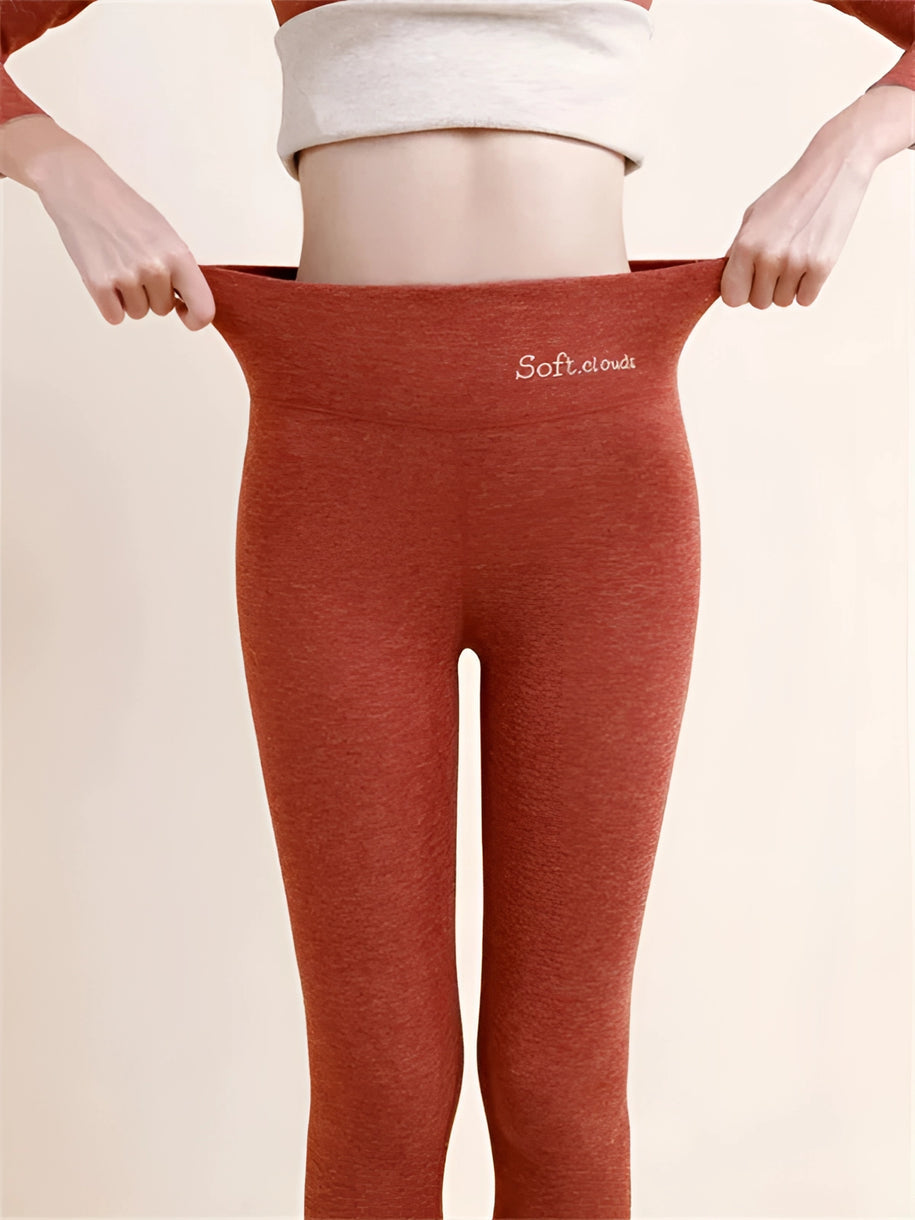 Autumn Sale 50% OFF - 🎁Hygo Cloudy Fleece Lined Leggings